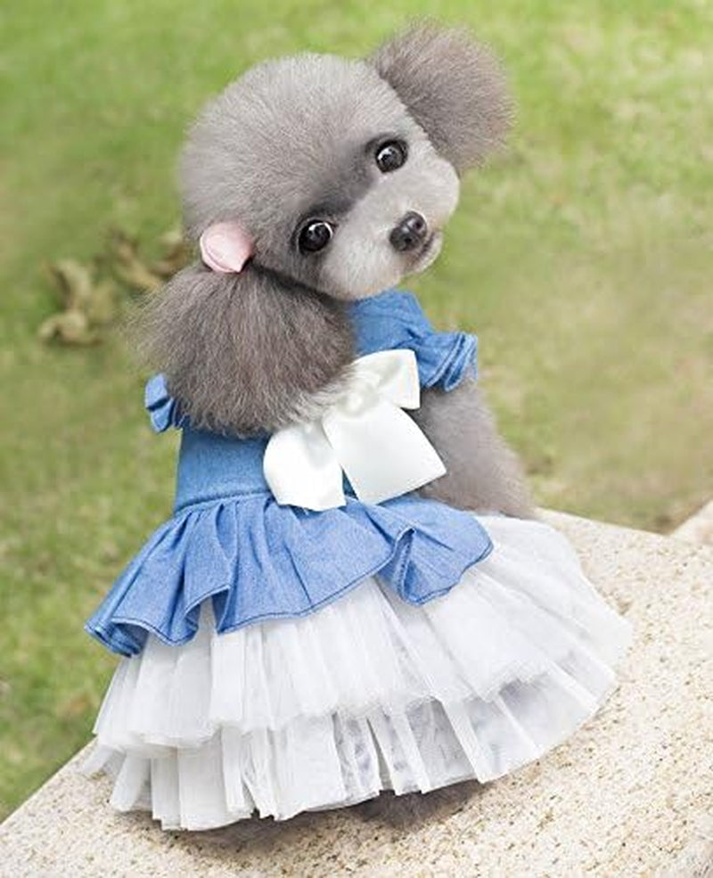 Cowboy-Inspired Dog Dress with Bow and Lace Skirt - Elegant Jumpsuit for Puppies and Kittens