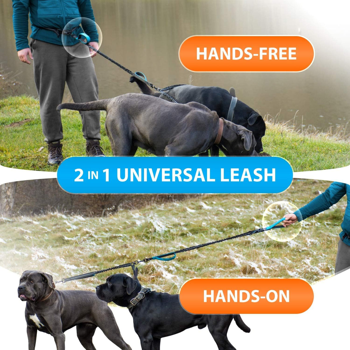 Dual Dog Leash for Medium and Large Breeds, Hands-Free Design (Blue)