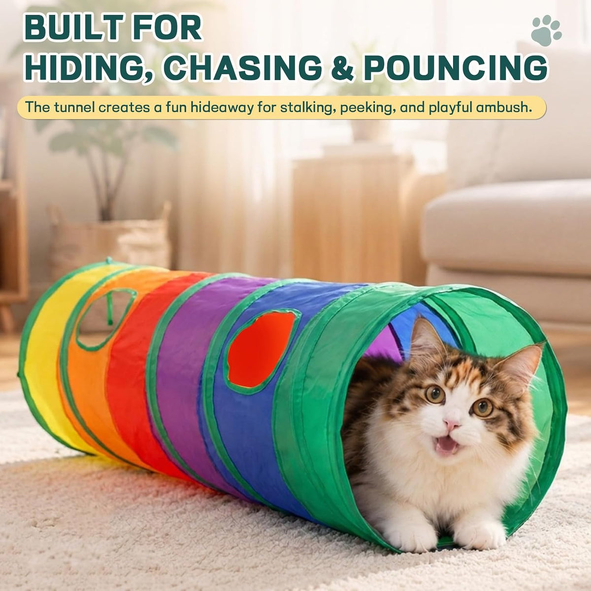 25 Pcs Cat Toys Set, Cat Tunnel Toy for Indoor Cats, Kittens