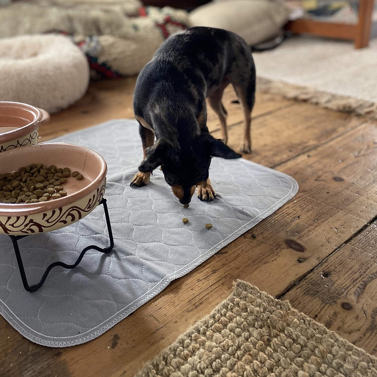 Washable and Reusable Leak-Proof Pet Pee Pads for Dogs and Cats (22" x 22", 2-Pack)