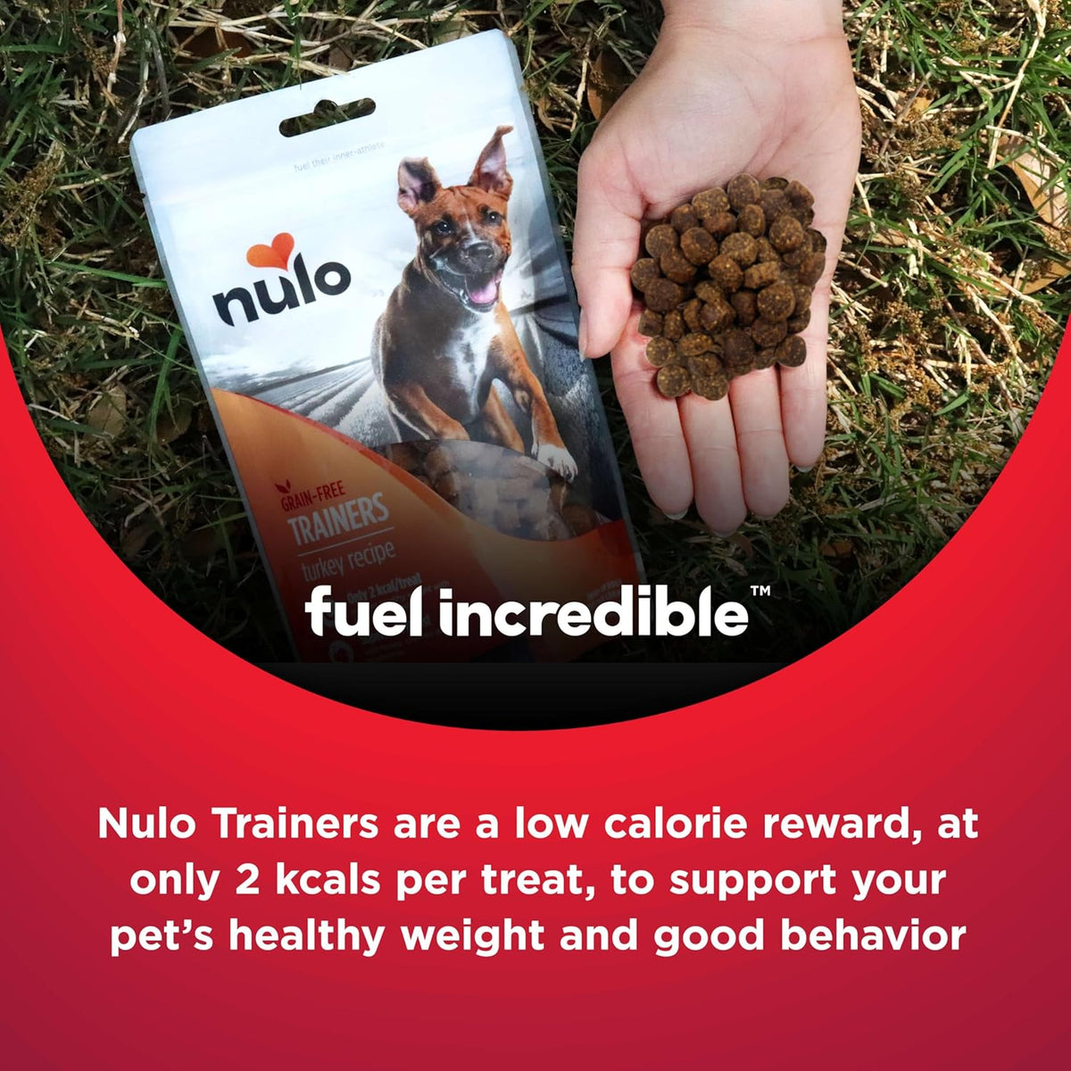 Grain-Free Low-Calorie Duck Recipe Training Treats for Dogs and Puppies, 4 Ounce Pouch