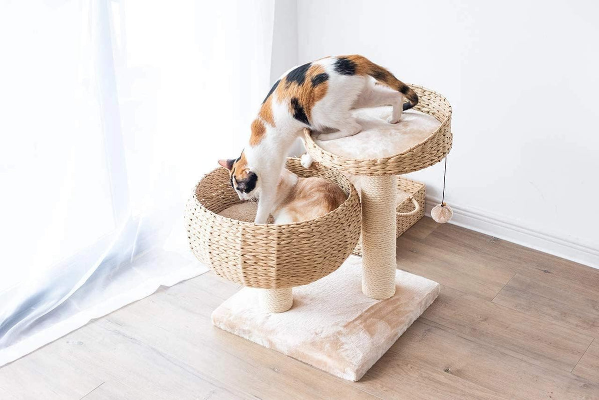 Contemporary Compact Cat Tree with Dual Beds, Handwoven Paper Rope Basket, Elevated Perch, Sisal Scratching Posts, and Removable Washable Cushions in Beige