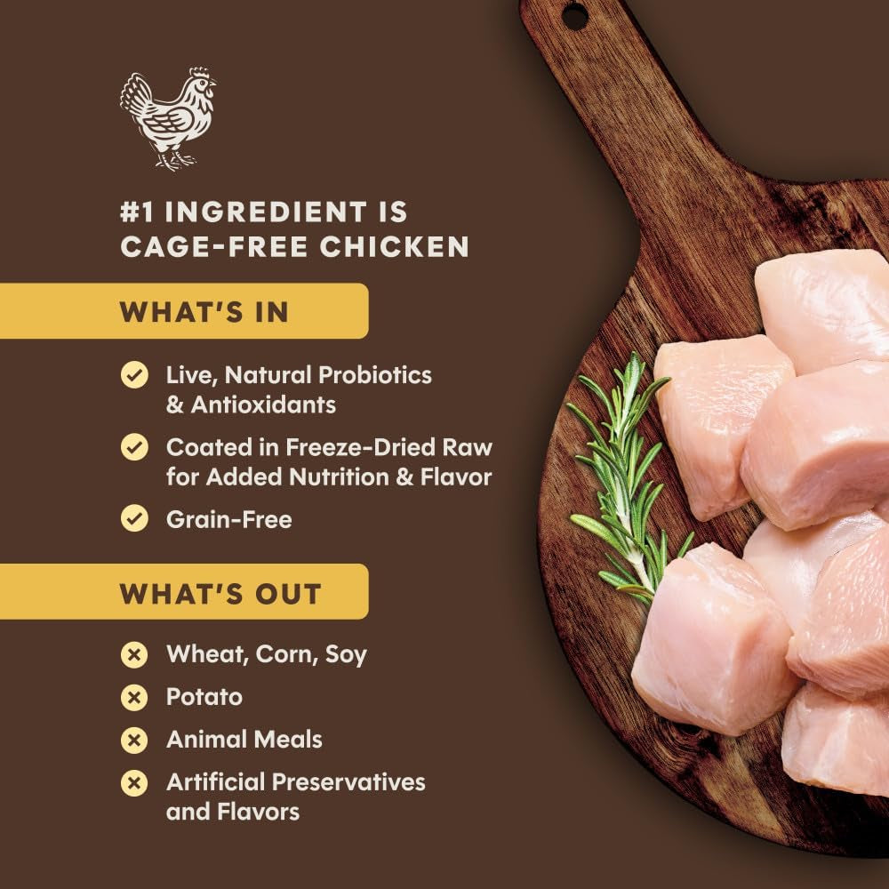 Premium Grain-Free Cage-Free Chicken Recipe Natural Dry Cat Food, 10 lb Bag