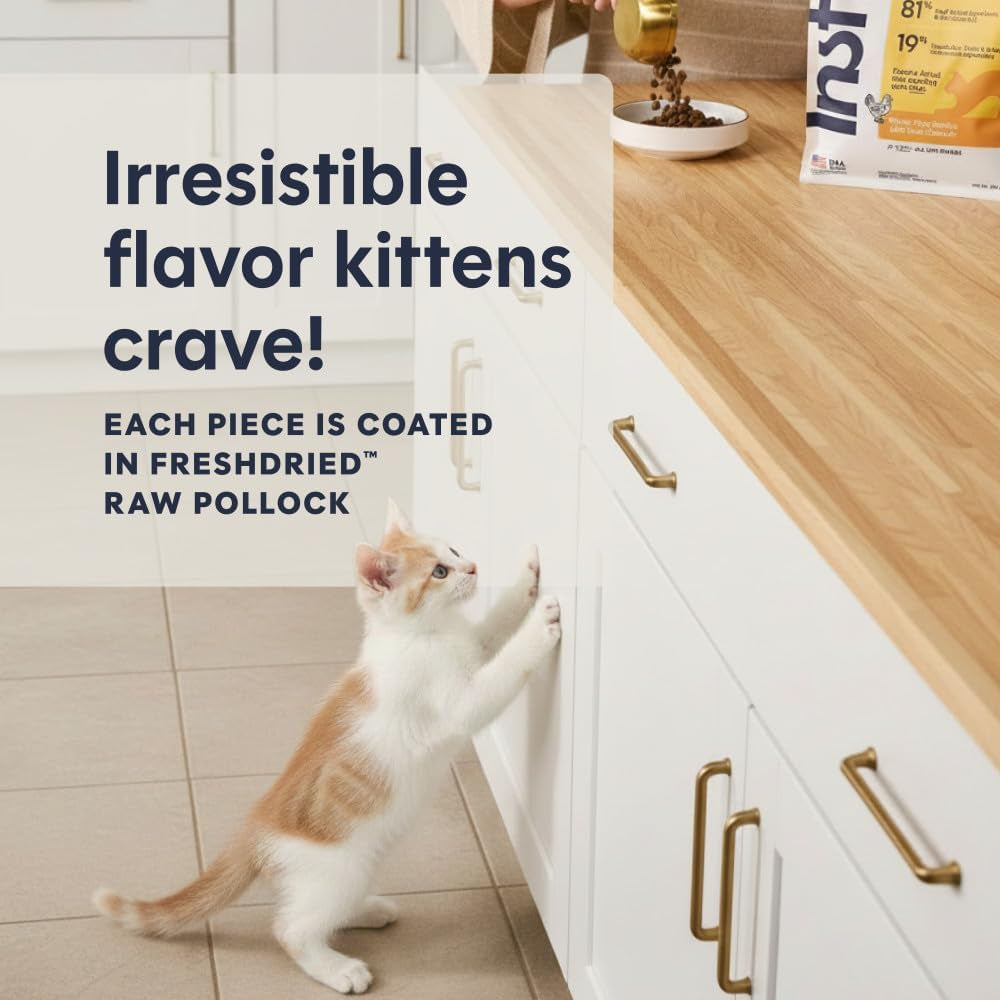 Original Kitten Dry Food, Raw Coated, Real Chicken, 4.5 Lb. Bag