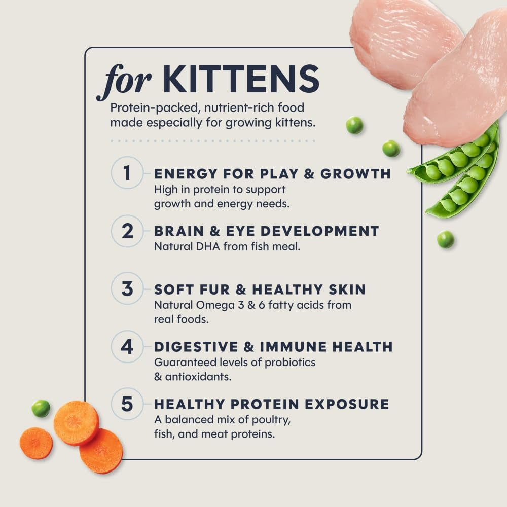 Original Kitten Dry Food, Raw Coated, Real Chicken, 4.5 Lb. Bag